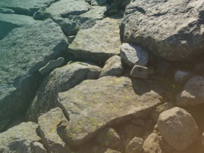The Stone Idea