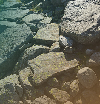 The Stone Idea